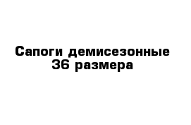 Сапоги демисезонные 36 размера